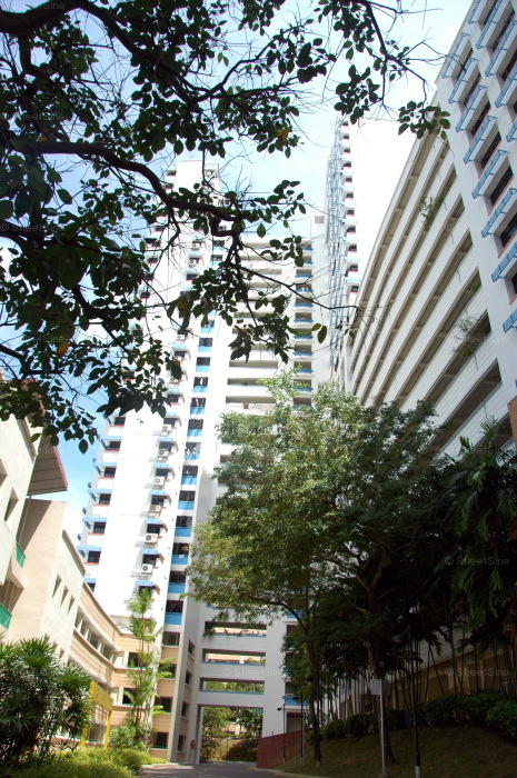 Blk 533 Bukit Panjang Ring Road (Bukit Panjang), HDB 4 Rooms #212852